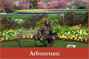 ArboretumFinal