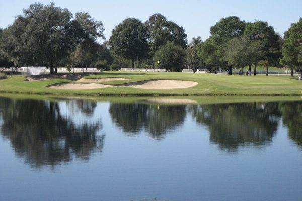 Marriott - Pond and Golf Course