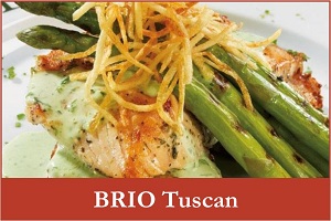 briofinal